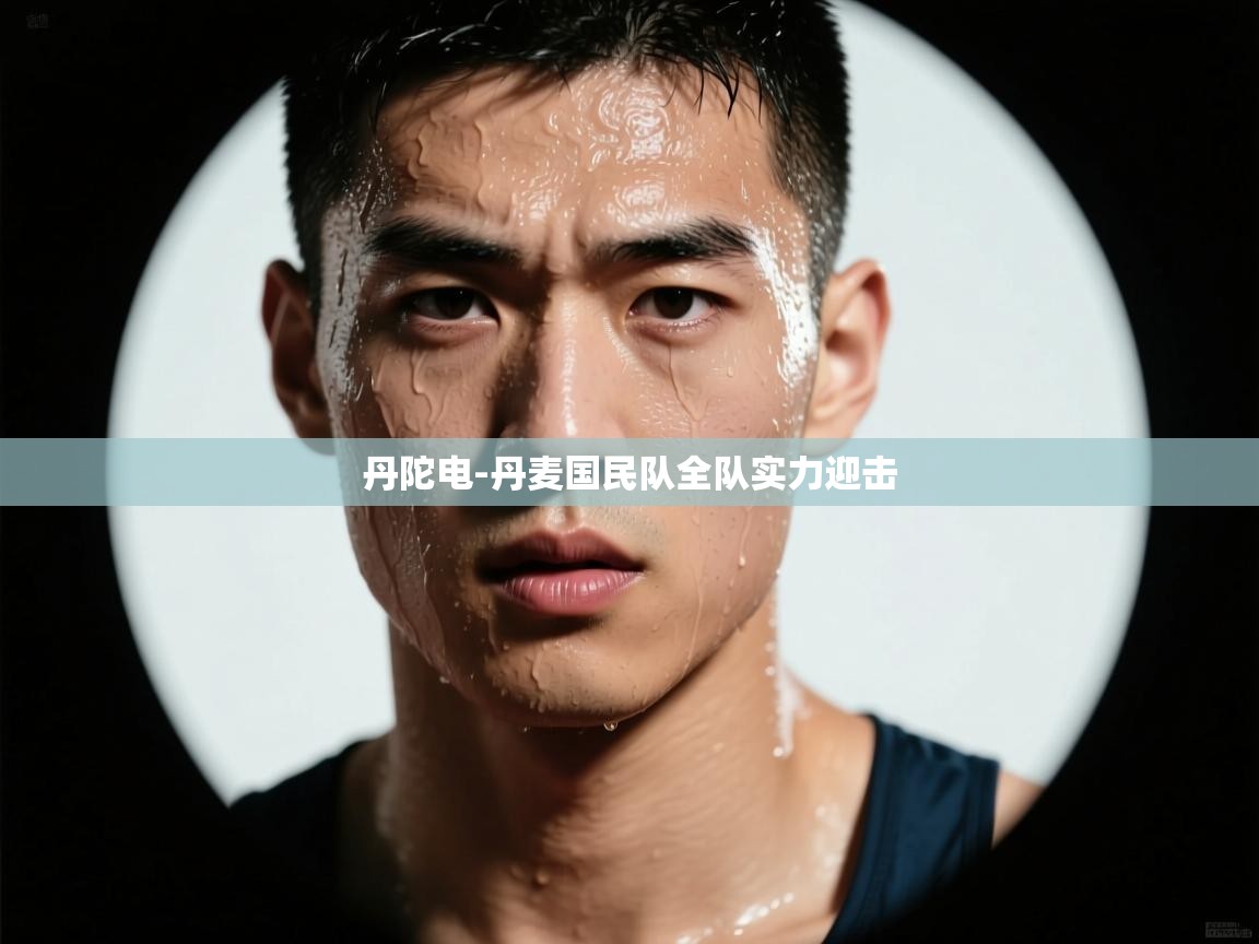 丹陀电-丹麦国民队全队实力迎击  第1张