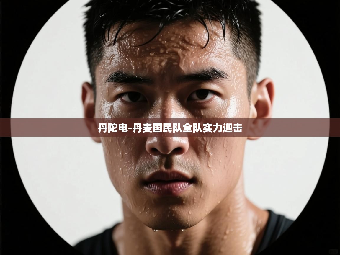 丹陀电-丹麦国民队全队实力迎击  第2张