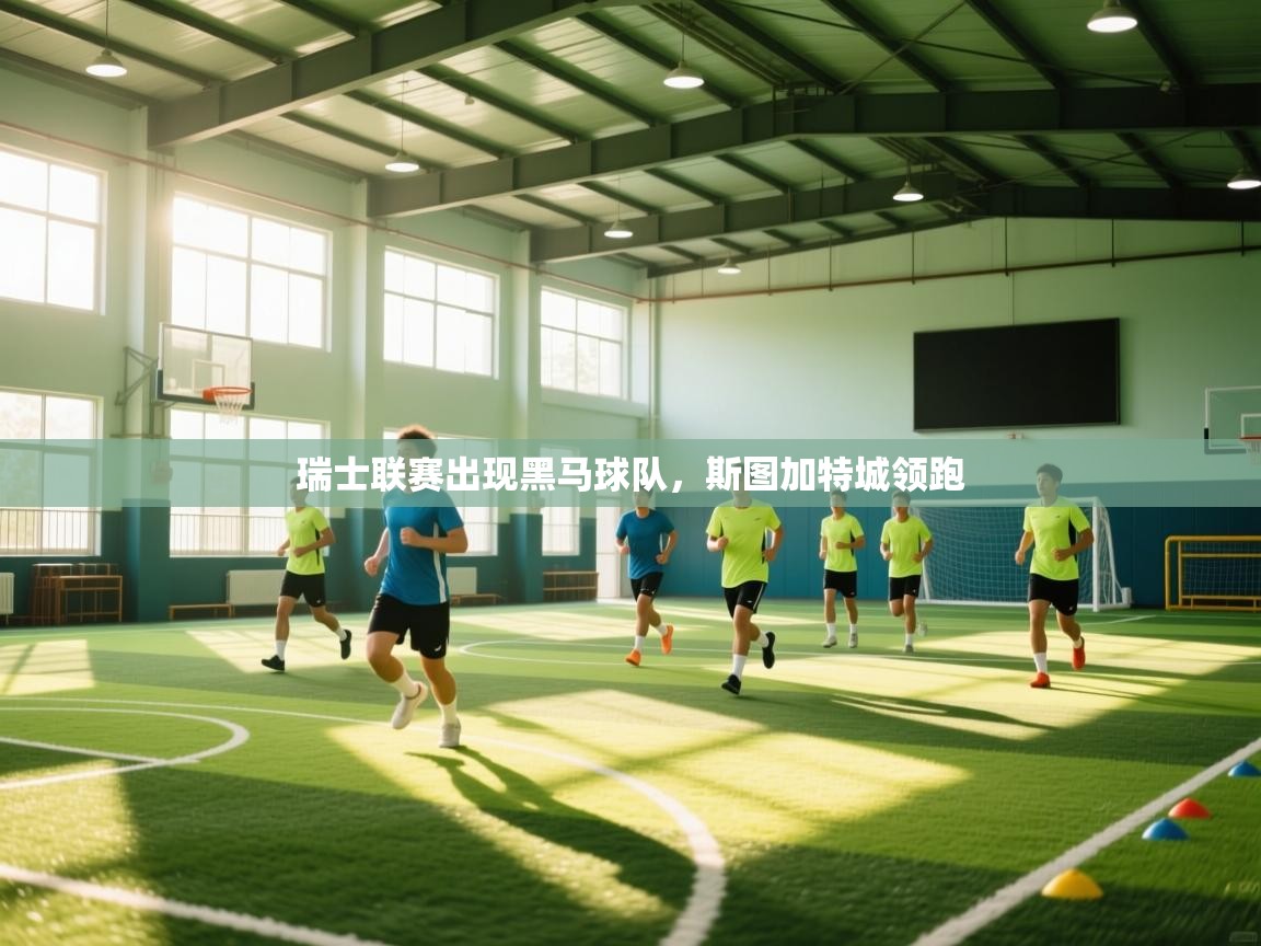 瑞士联赛出现黑马球队，斯图加特城领跑  第2张