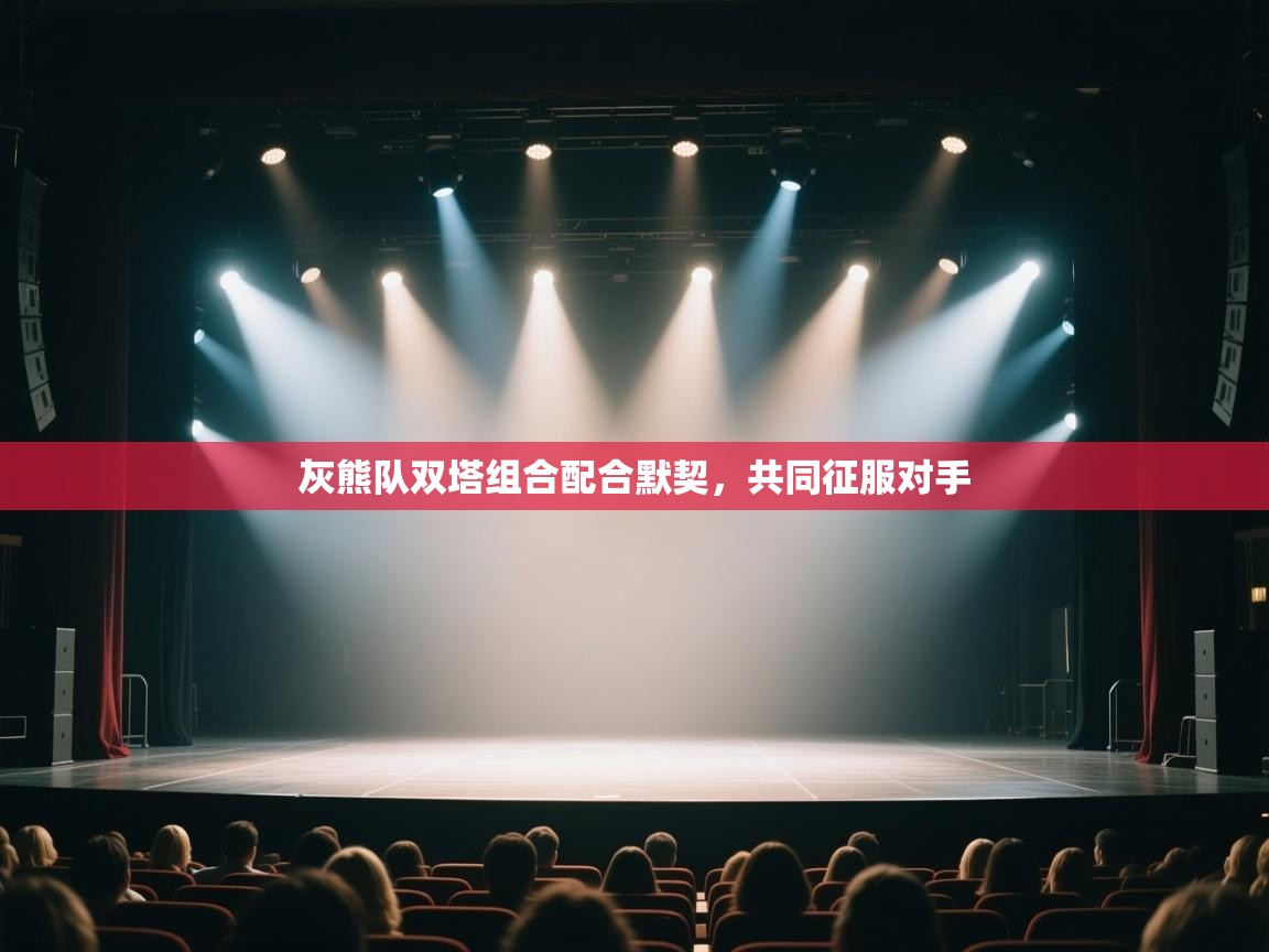 灰熊队双塔组合配合默契，共同征服对手  第1张