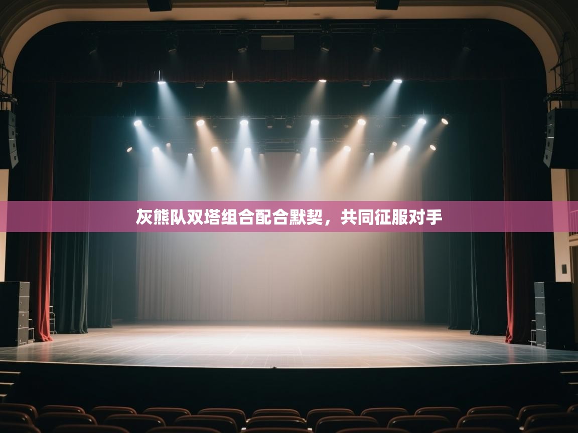 灰熊队双塔组合配合默契，共同征服对手  第2张